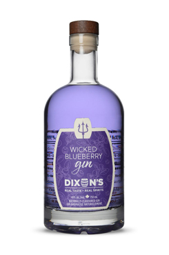 Gin_DixonsWickedBlueberry750ML.jpg